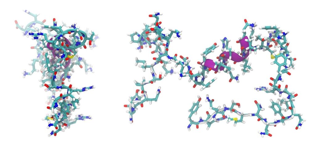 adrenomedullin, peptide, molecule, model, structure, chemistry, science, research, compound, peptide, peptide, peptide, peptide, peptide, molecule, molecule