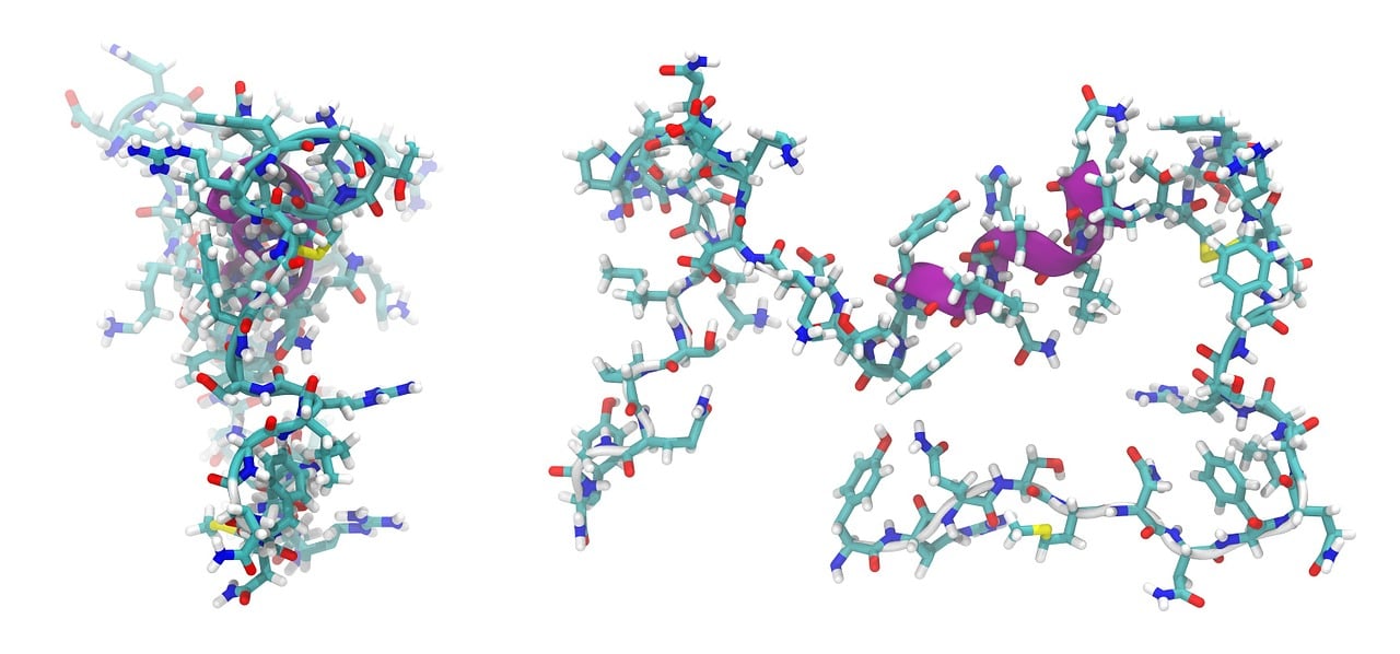 adrenomedullin, peptide, molecule, model, structure, chemistry, science, research, compound, peptide, peptide, peptide, peptide, peptide, molecule, molecule